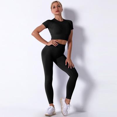 China Breathable Women Yoga Set 2Pcs Gym Gaiters T-shirt Jacket Fitness Sportswear Tracksuit Black Upper Gaiters for sale