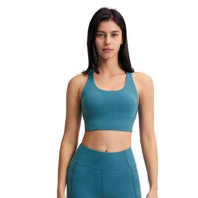 China Breathable Custom Made Women Workout Top Women Yoga Sportswear Seamless Sports Bra for sale