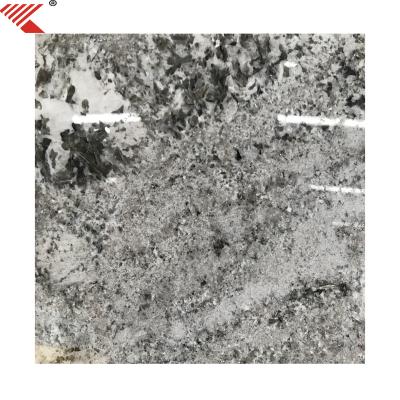 China High Hardness and Corrosion Resistance China High Quality Natural Gray Granite Stone for sale