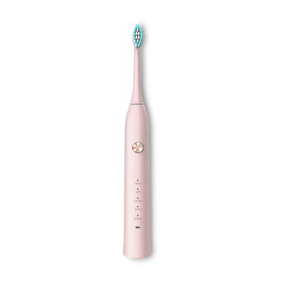 China Custom High Quality Intelligent Automatic Whitening Rechargeable Electric Oral Hygiene Toothbrush for sale