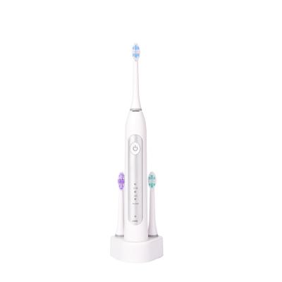 China Best Selling Beautiful Products Battery Operated Electric Sonic Toothbrush for sale