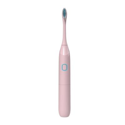 China Best Selling Battery Operated Signal Electric Toothbrush With AA Battery Cheap Price for sale