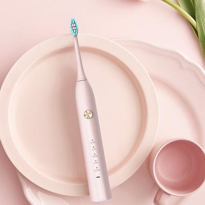 China 2020 Dentist Sonic Toothbrush Oral Care No .1Products Battery Operated Electric Toothbrush for sale