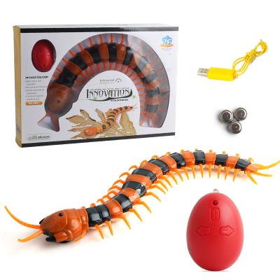 China Infrared Remote Control Simulation Induction Ride Animals Centipede Toys 9901 for sale