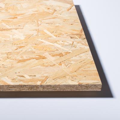 China Modern Cheap Price 9mm OSB 12mm Plywood Waterproof Board In Hot Sale for sale