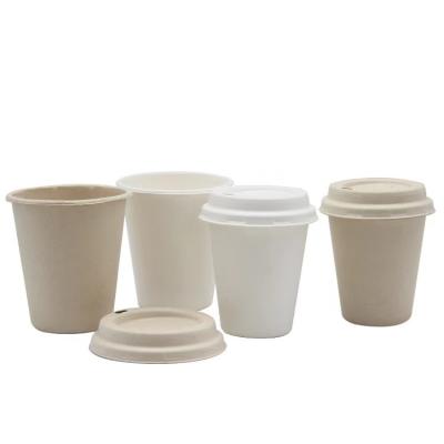 China El bagazo biodegradable de la caña de azúcar ahueca la taza disponible 12oz de la pulpa de la fibra saca en venta