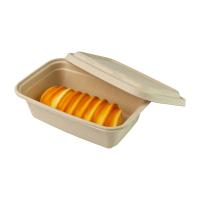 China Het ovale 750ml-Beschikbare Papier Tray Take Out 2 van de Bagassepulp Compartimenten O.K. COMPOST Te koop