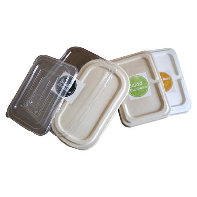 Chine Boîte de rangement faite sur commande de pulpe de papier de blé de bagasse, plateau sensoriel biodégradable à vendre