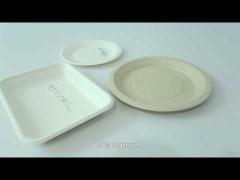 Sugar Cane Compostable Biodegradable Disposable Sugarcane Bagasse Paper Plates Tableware