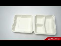 sugarcane bagasse tableware