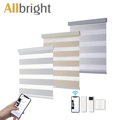 China Customized Minimalist Class Transparent Zebra Polyester Electric Motorized Arc Blinds For French Door for sale