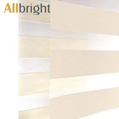 China Modern Design Minimalist Transparent Light Filtering Wire Dye Zebra Electric Blinds For Window for sale