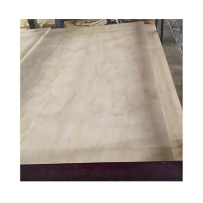 China Modern Recommend Commercial Plywood Sheet Pine Costruction Plywood Sheet for sale