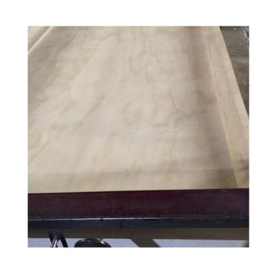 China Tranparent Plywood Modern Prefinished Plywood Sheet Laminate Siding Sheet for sale