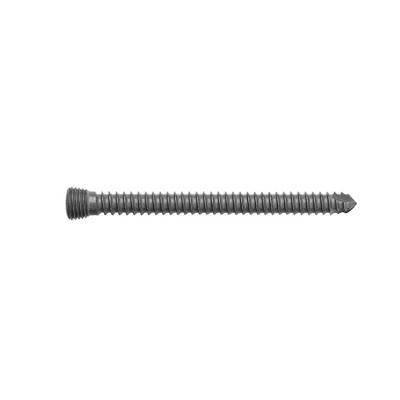 China High Quality Titanium Hex Locking Screws Orthopedic Implants With CE Certificate for sale