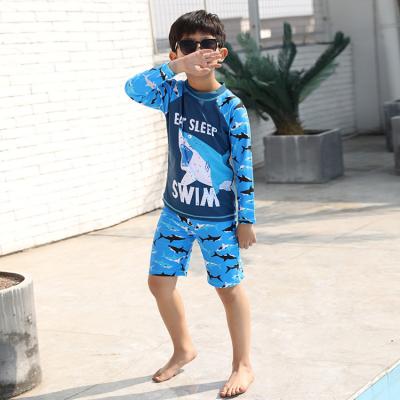 China New Boy's Swimwear Long Sleeve Swimsuit Cartoon Dinosaur Shark Korean Breathable Large Size Traje de bano Para Boy's Swimwear for sale