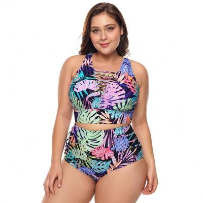 China Plus Size Good Selling Plus Size Xxl Busty Swimwear Plu Swimwear Woman Sexy Bikini 2021 for sale