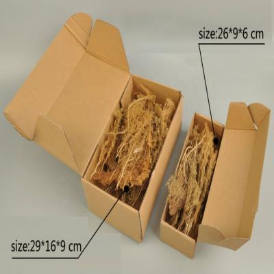 China Sustainable tree model production scene natural grass for architecture model making design hobby diy maker for sale