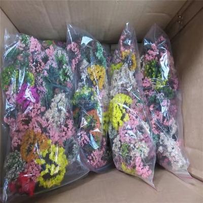 China New Various Of Scales Durable Street Miniature Tree Mixed Color Package Model for sale