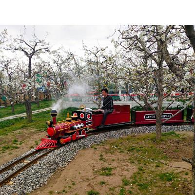 China Amusement Park Wooden Games Factory Price SanChuan Electric Train Set For Adults for sale