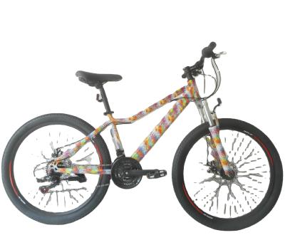 China Steel Bicycle Mountain 2022 Sports Bike Mountain Bike Mountainbike For Adult for sale