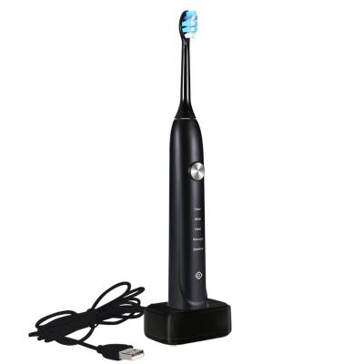 China Private Label Battery Operated Sonic Electric Toothbrush For Adult Replaceable Main Toothbrush for sale