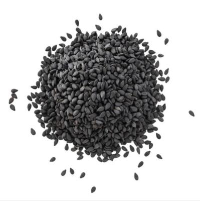 China BS 2021 Cultivation Seed Dry Natural Pure Black Sesame for sale