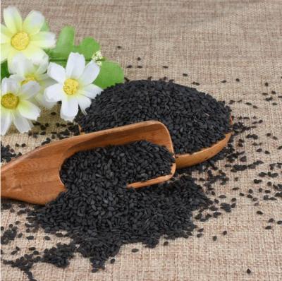 China BS 2021 Cultivation Reasonable Prices Dried Organic Black Sesame for sale