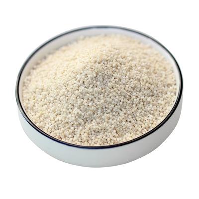 China WHM 2021Crop Dry White Grain China Design Hulled White Millet Seed for sale