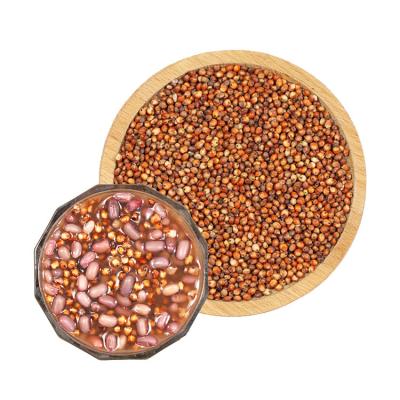 China Professional RSG Manufacture Promotion Price Grain Dry Red Sorghum for sale