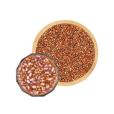 China RSG Direct Selling Dry Red Sorghum Grains Seed for sale