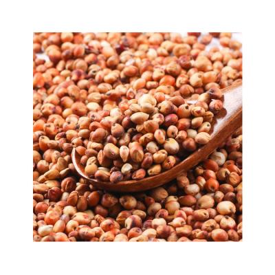 China RSG low price dried red sorghum grain seed for sale