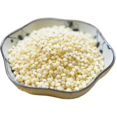 China 2021 Wholesale Dry Good Price Sorghum Grains Crop Kernel for sale