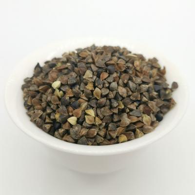 China BK 2021 dry culture hot sale export roasted buckwheat for sale