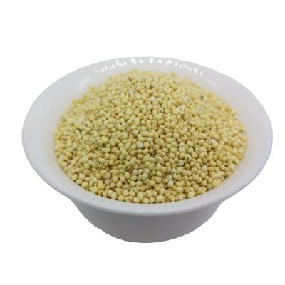 China Manufacturers Direct Selling 2mm Grain Hulled Sticky Yellow Millet for sale