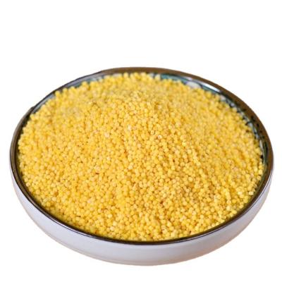 China 2021 Dry Crop Hulled Yellow Slime Millet Sticky Millet for sale