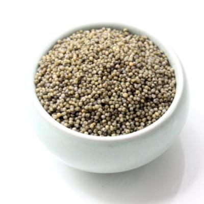 China Quality Grain Manufacture China Hot Sale Dry Black Hulled Millet for sale