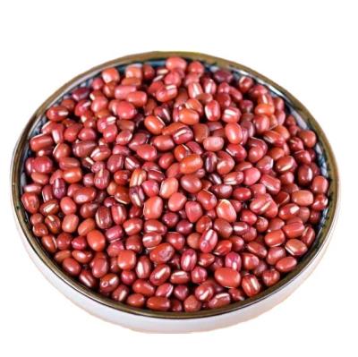 China ADB Manufacture Best Selling Quality Dry Red Adzuki Bean China for sale