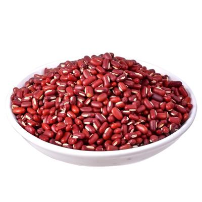 China Professional Promotion Price ARBB Manufacture Dry Red Bamboo Bean for sale