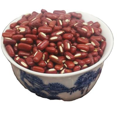 China ARBB Factory Supply Good Prices Adzuki Dry Red Bamboo Bean Directly for sale