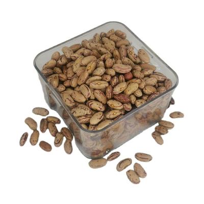 China Wholesale Natural Dry Light Spotted Kidney Beans LSKB Red Spotted Pinto Beans for sale