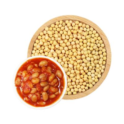 China YS Factory Price Soybeans Dry Soybeans for sale