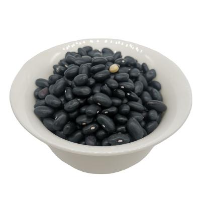 China BKB China Manufacturer Factory Price Black Dwarf Kidney Bean for sale