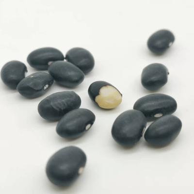 China BKB China Manufacture Best Price Black Grain Quality Dried Kidney Bean for sale