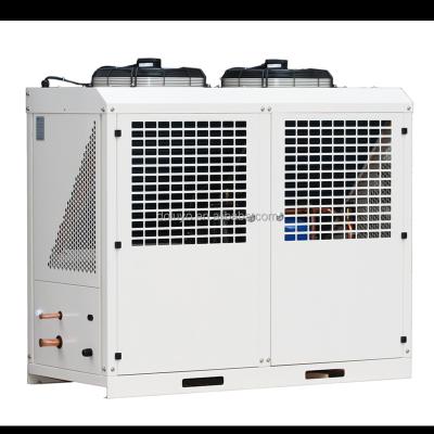 China Cold Storage Project Air Cooled Refrigeration Equipment For Cold Room With Low Temperature for sale