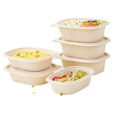 China Wholesale Microwavable Customized Disposable Degradable PLA Lunch Box With Thickened Large Capacity For Take Out Food Packaging for sale