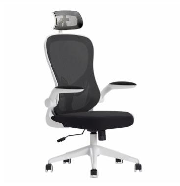 China (Size) Original Youpin Hbada Adjustable Ergonomic Office Chair With Lumbar Support Mesh Office Chair for sale