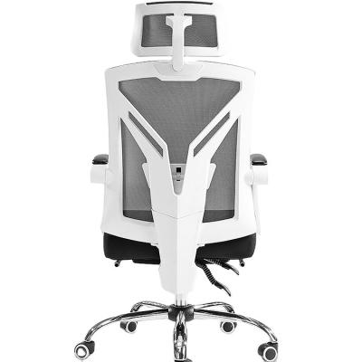 China (Size) Xiaomi Hbada Sword Adjustable Breathable Mesh Ergonomic Office Chair Adjustable Pointed Desk for sale