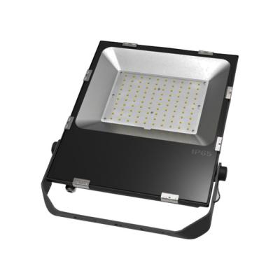 China Outdoor Sports Stadiums 50w 80w 100w 150w 200w IP65 LED Flood Light For Garden Warehouse Factory Sports Stadium for sale