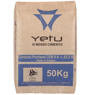 Cina China Supply 50kg 25kg Portland Cement Bag Moisture Proof Price  Cement Valve Bag in vendita